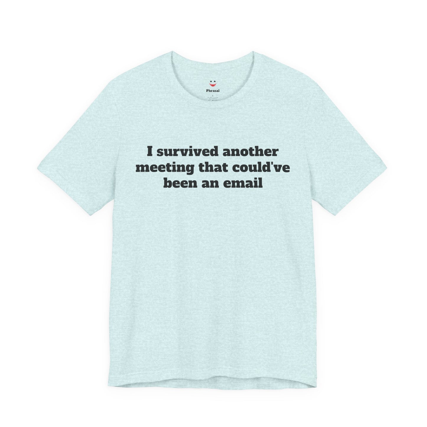 Workday Survivor Shirts - "I Survived Another Meeting That Could've Been An Email"