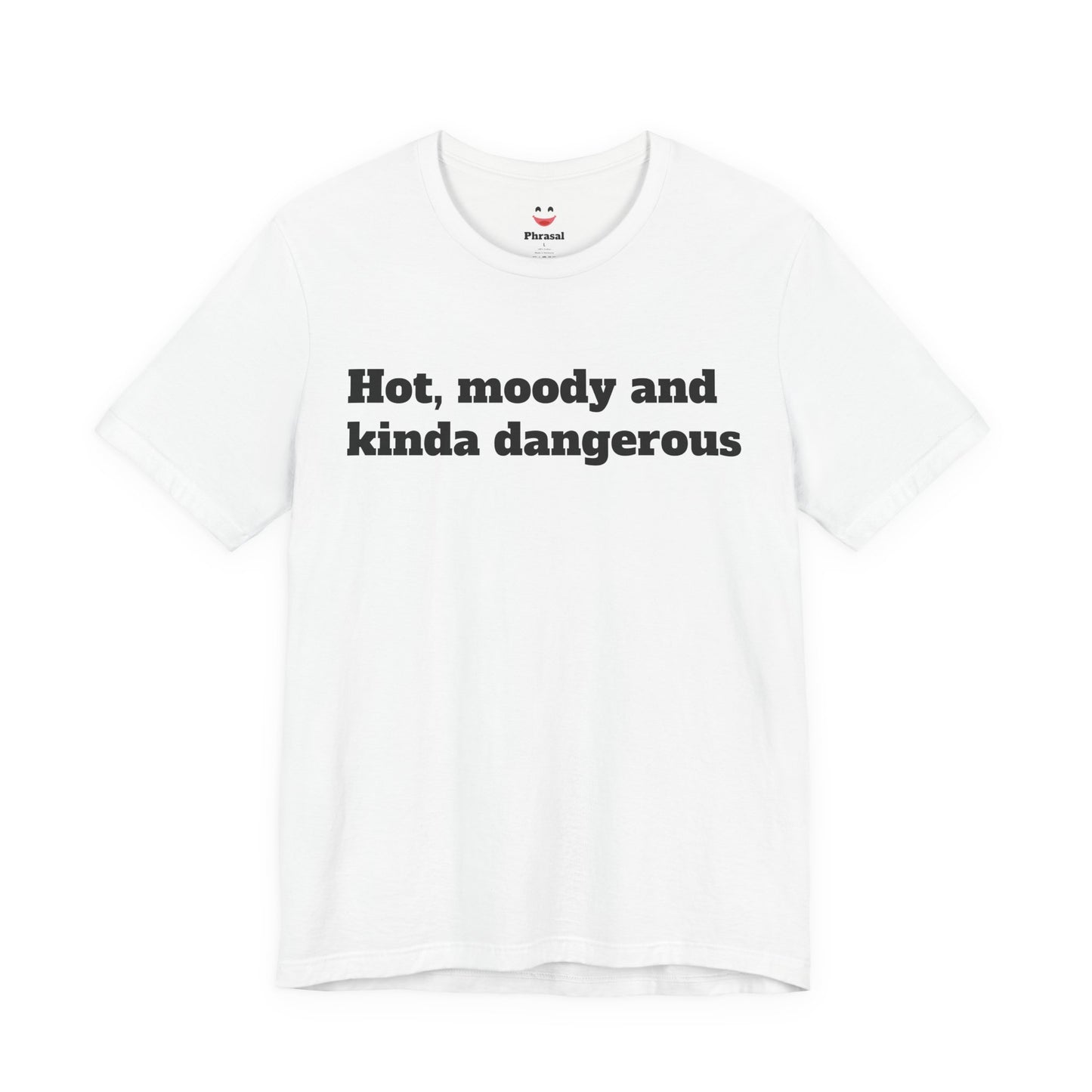 Sassy Love Shirts - "Hot, Moody and Kinda Dangerous"