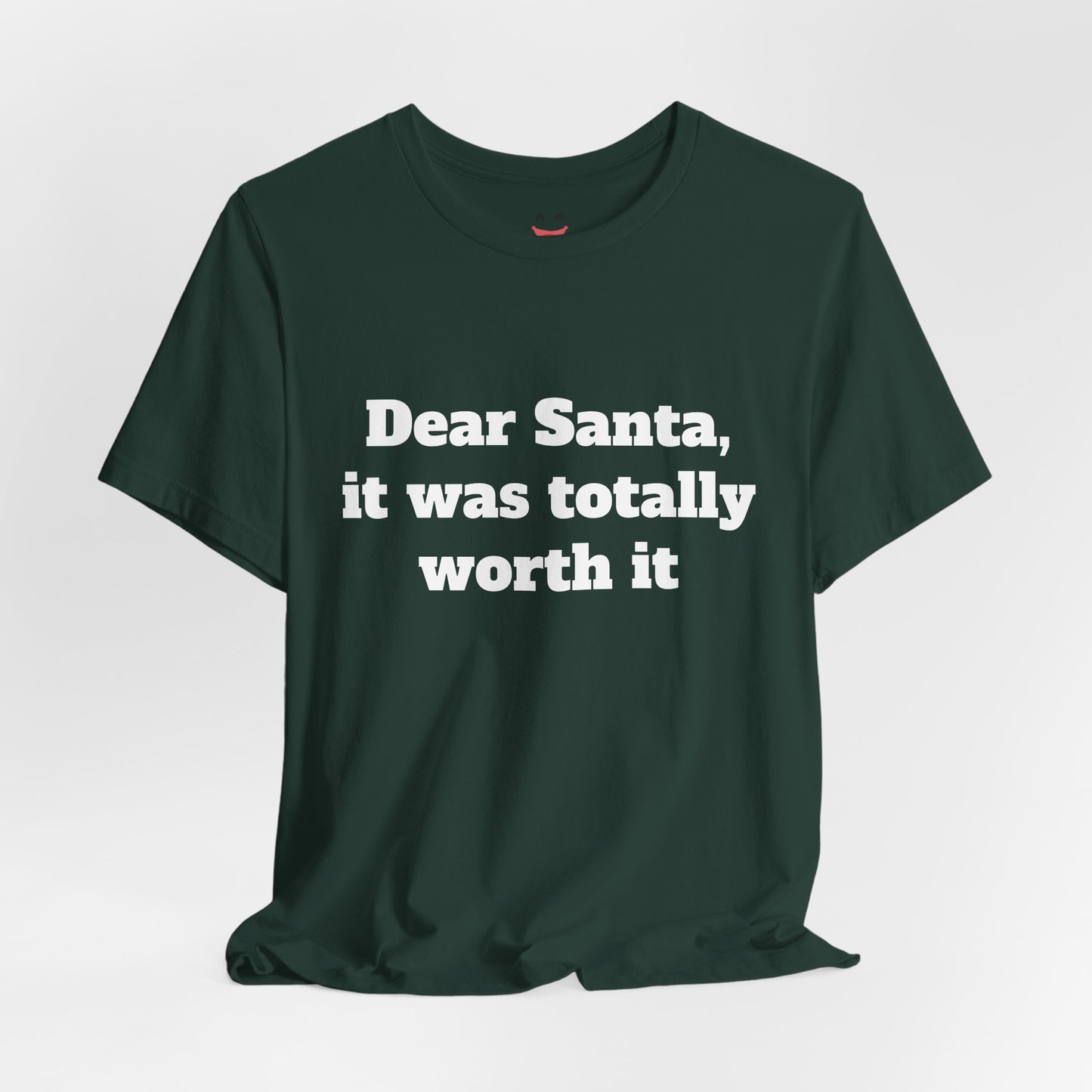 Festive Short Sleeve Tee - "Dear Santa, it was totally worth it"