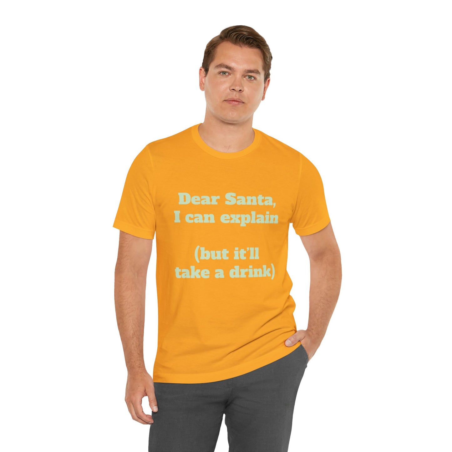 Festive Short Sleeve Tee - "Dear Santa, I can explain  (but it’ll take a drink)"