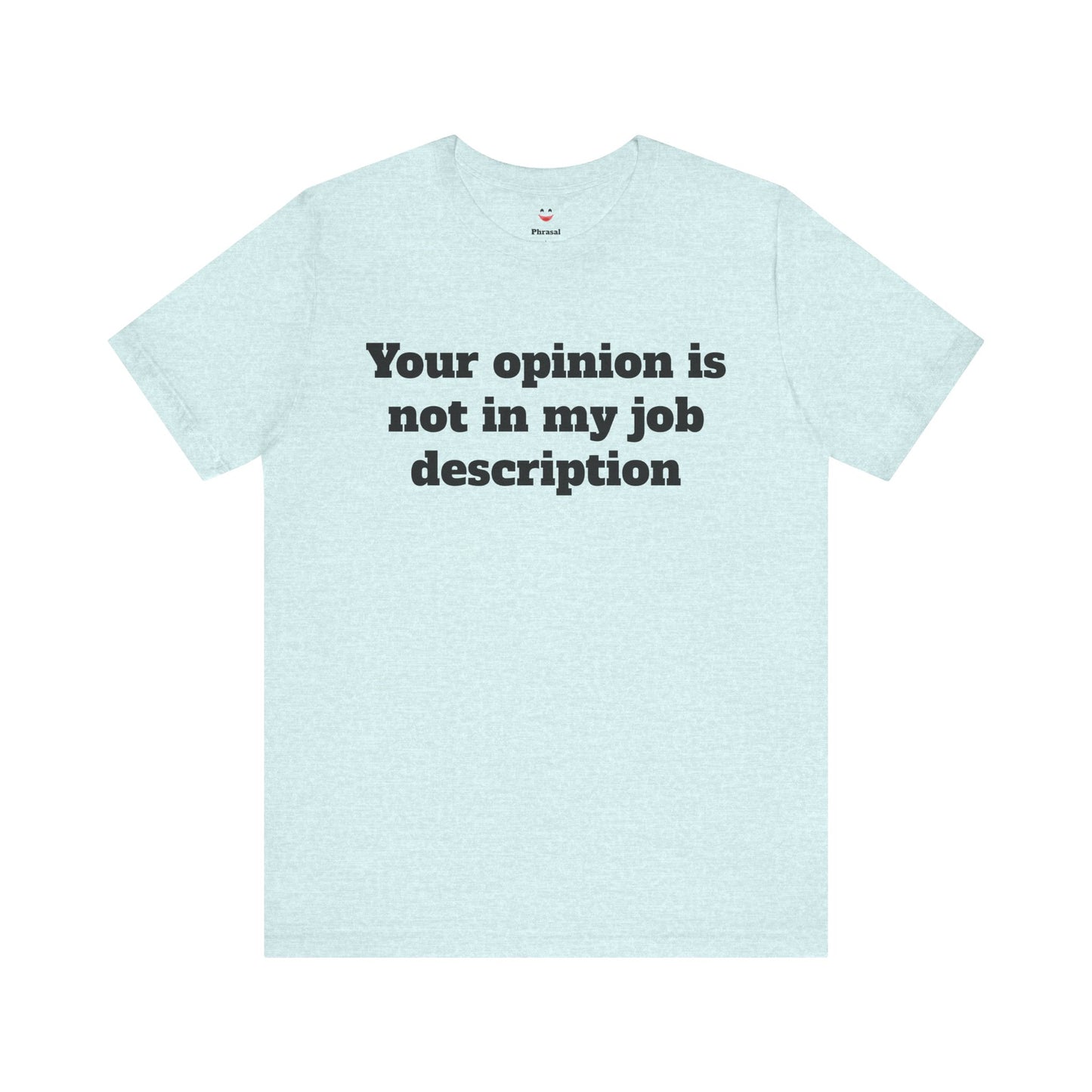 Workday Survivor Shirts - "Your Opinion Is Not In My Job Description"