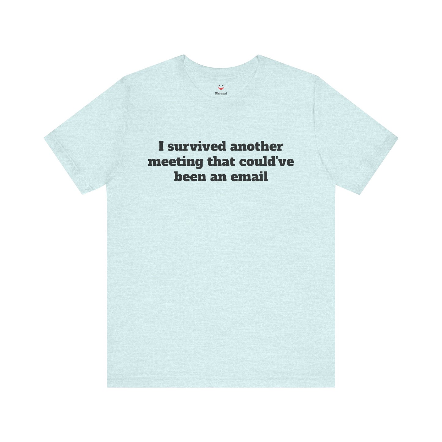Workday Survivor Shirts - "I Survived Another Meeting That Could've Been An Email"
