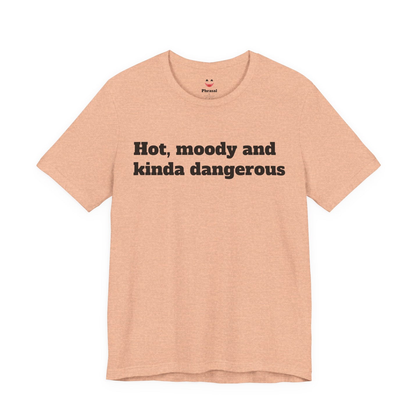 Sassy Love Shirts - "Hot, Moody and Kinda Dangerous"