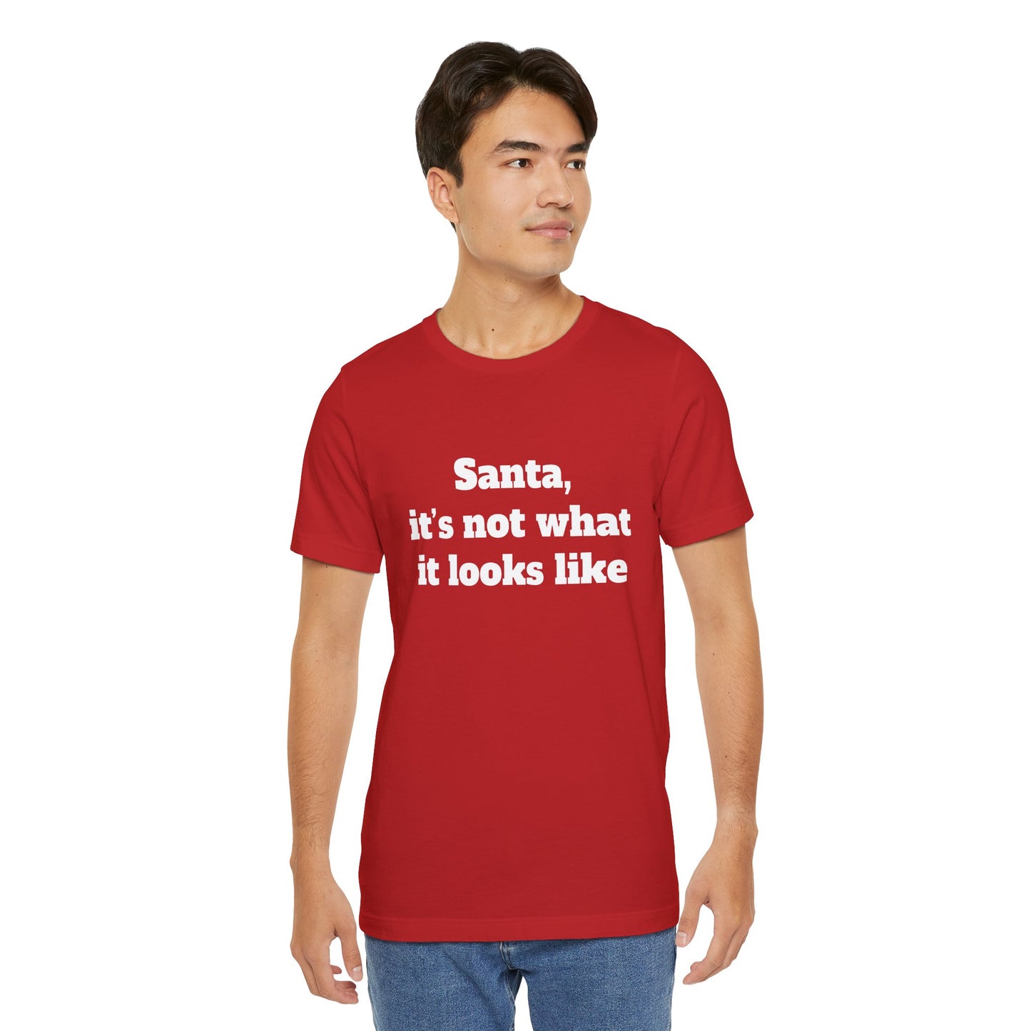 Festive Short Sleeve Tee - "Santa, it’s not what it looks like"