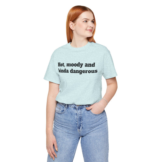 Sassy Love Shirts - "Hot, Moody and Kinda Dangerous"