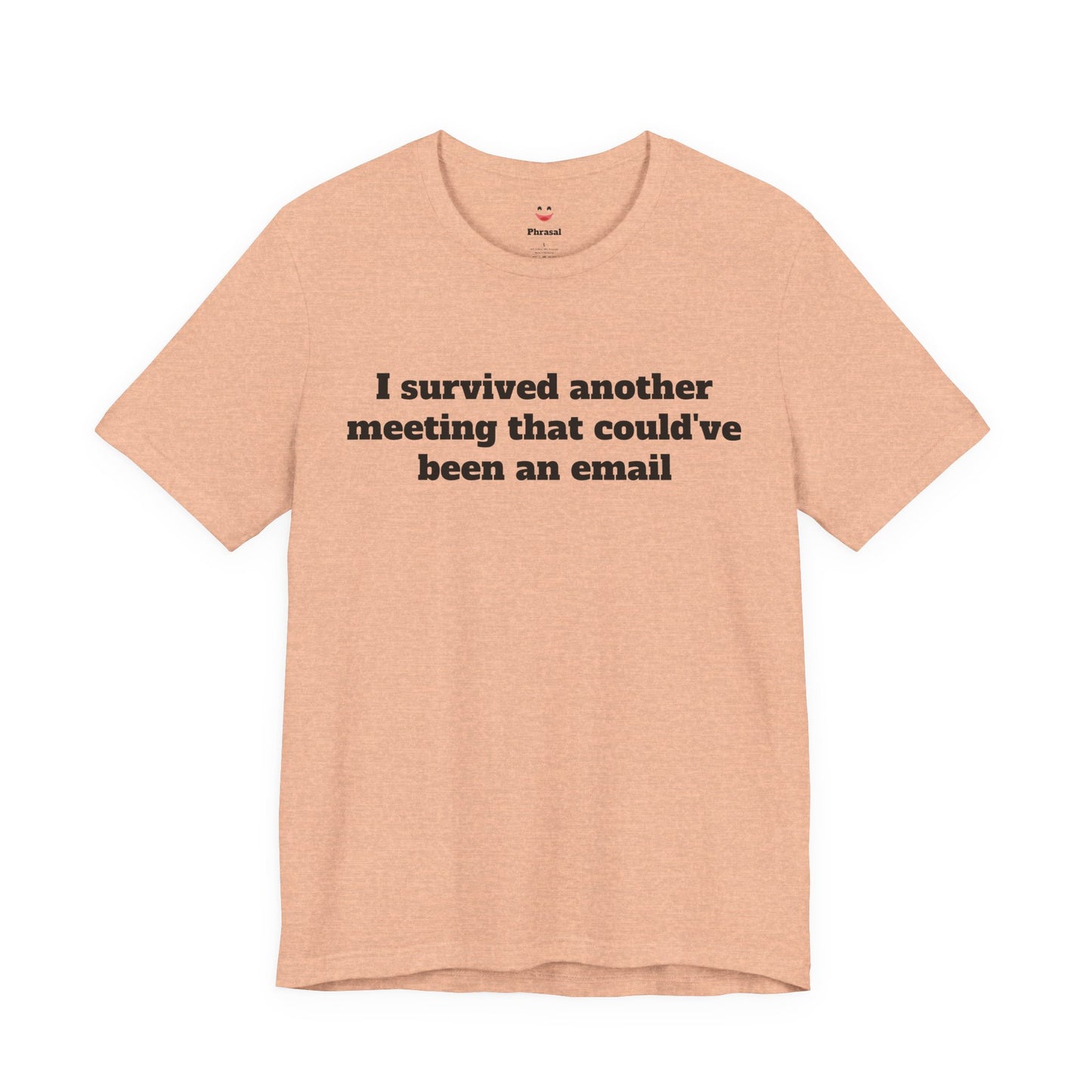 Workday Survivor Shirts - "I Survived Another Meeting That Could've Been An Email"