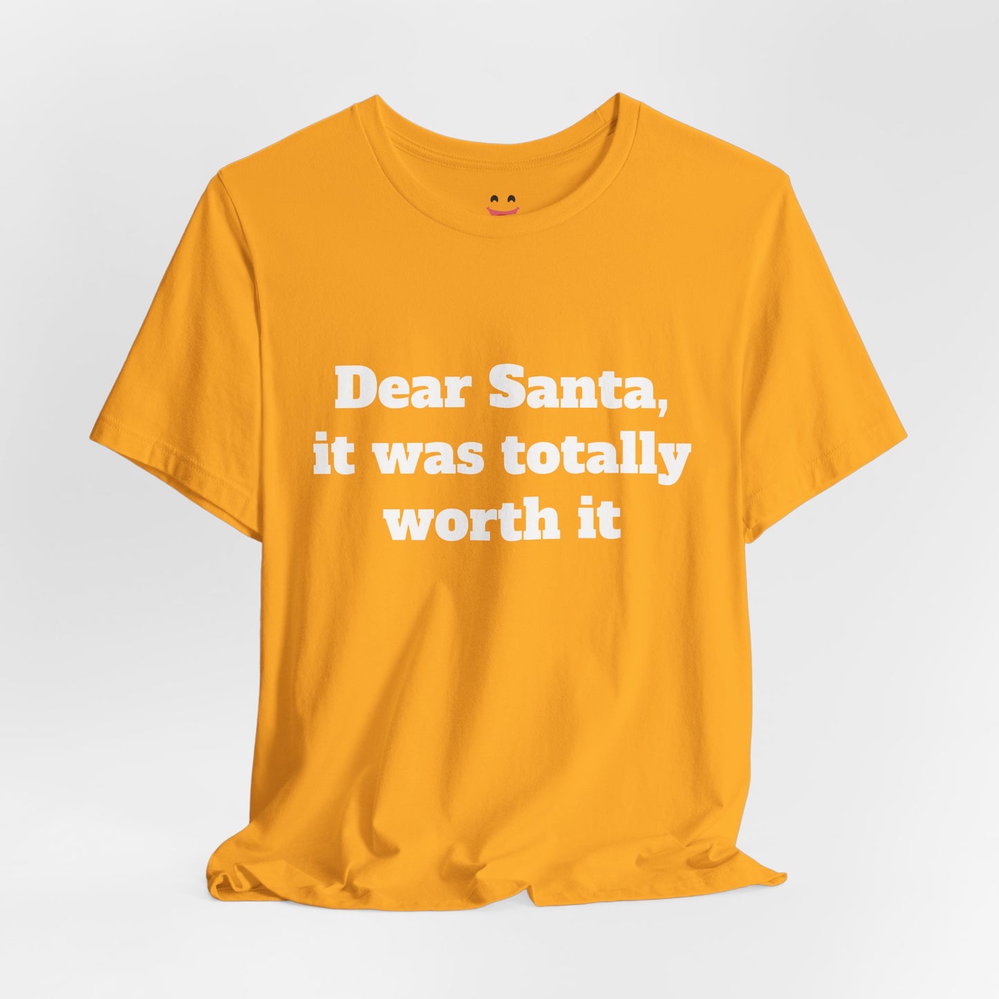 Festive Short Sleeve Tee - "Dear Santa, it was totally worth it"