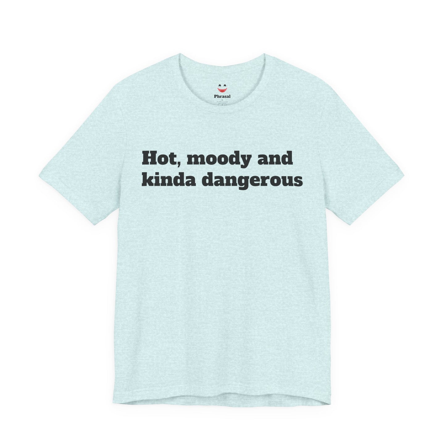 Sassy Love Shirts - "Hot, Moody and Kinda Dangerous"