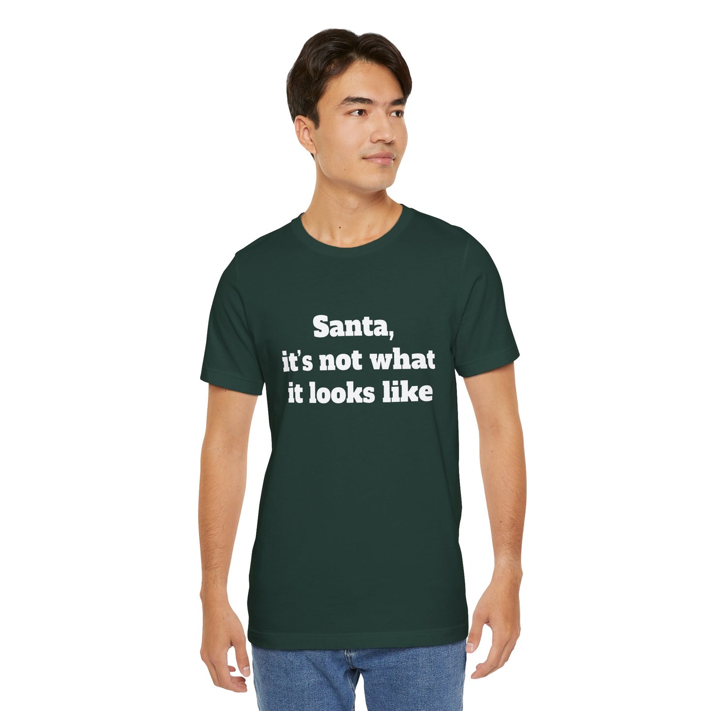 Festive Short Sleeve Tee - "Santa, it’s not what it looks like"