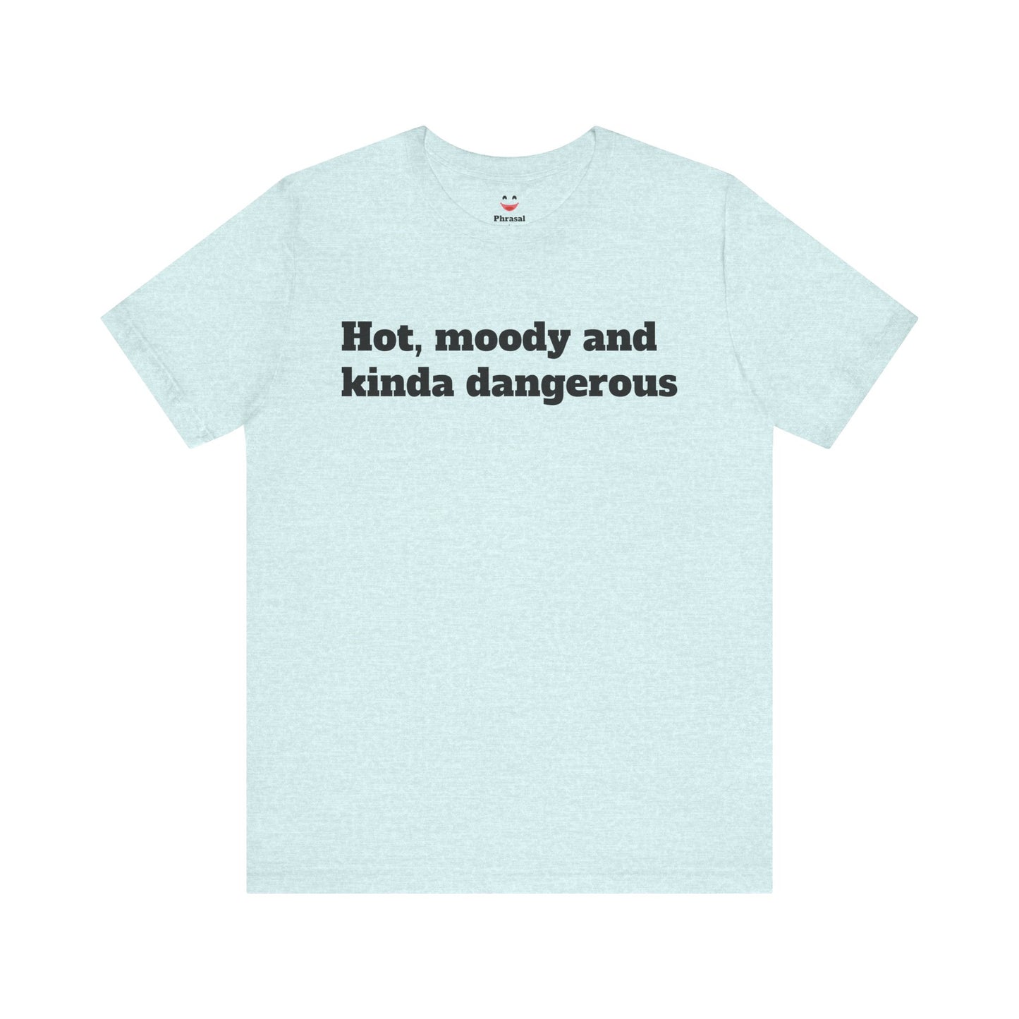 Sassy Love Shirts - "Hot, Moody and Kinda Dangerous"