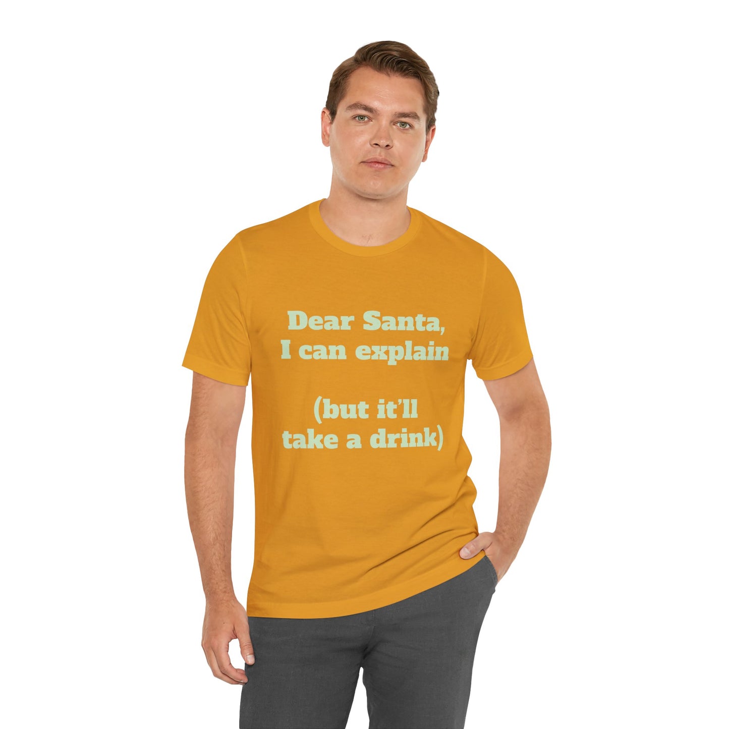 Festive Short Sleeve Tee - "Dear Santa, I can explain  (but it’ll take a drink)"