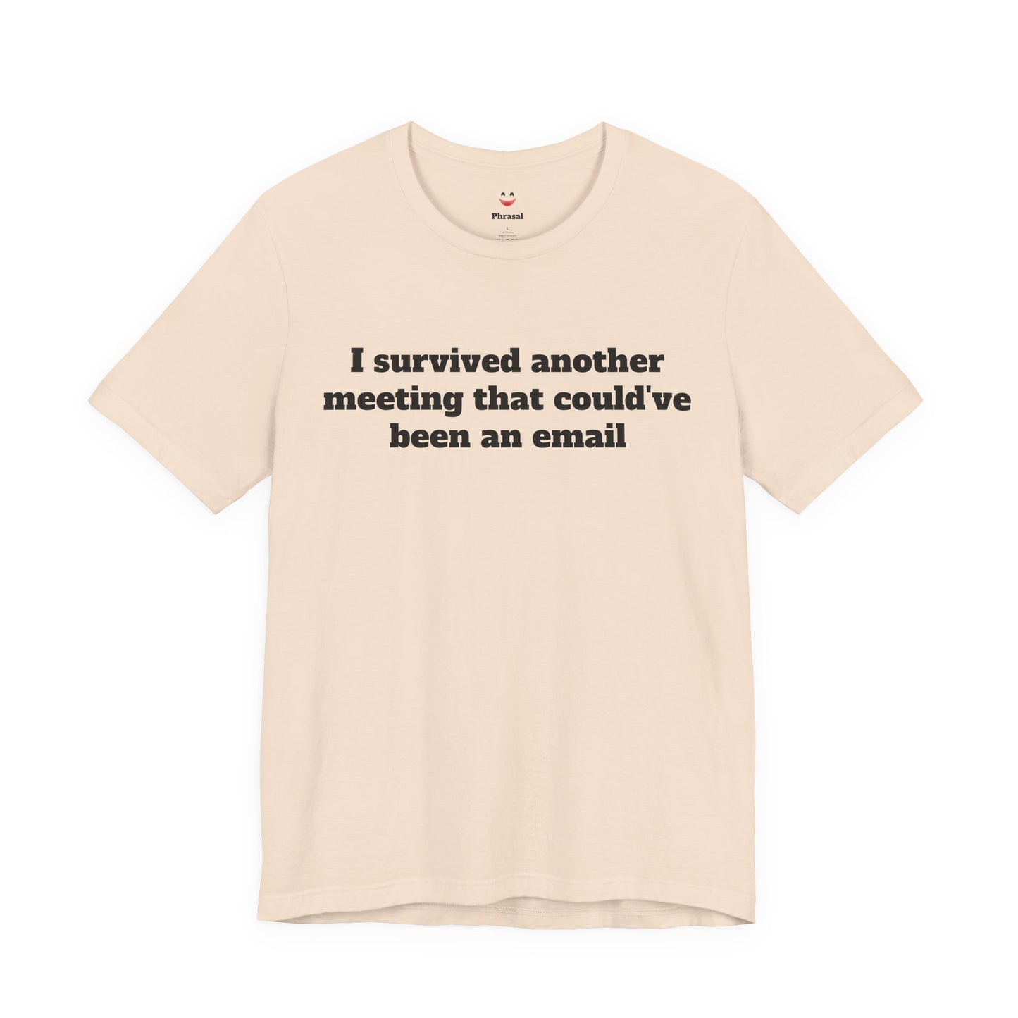 Workday Survivor Shirts - "I Survived Another Meeting That Could've Been An Email"