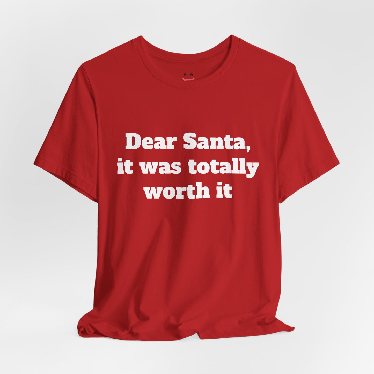 Festive Short Sleeve Tee - "Dear Santa, it was totally worth it"