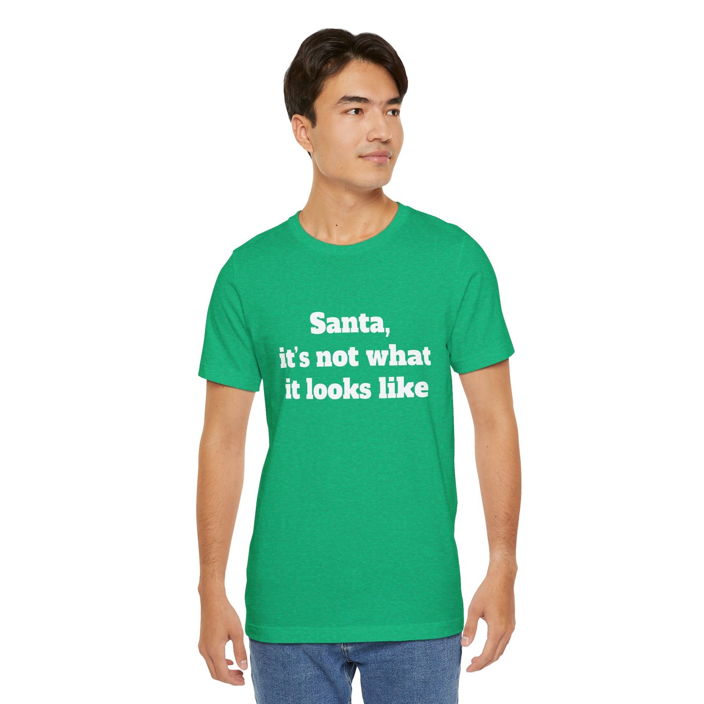Festive Short Sleeve Tee - "Santa, it’s not what it looks like"