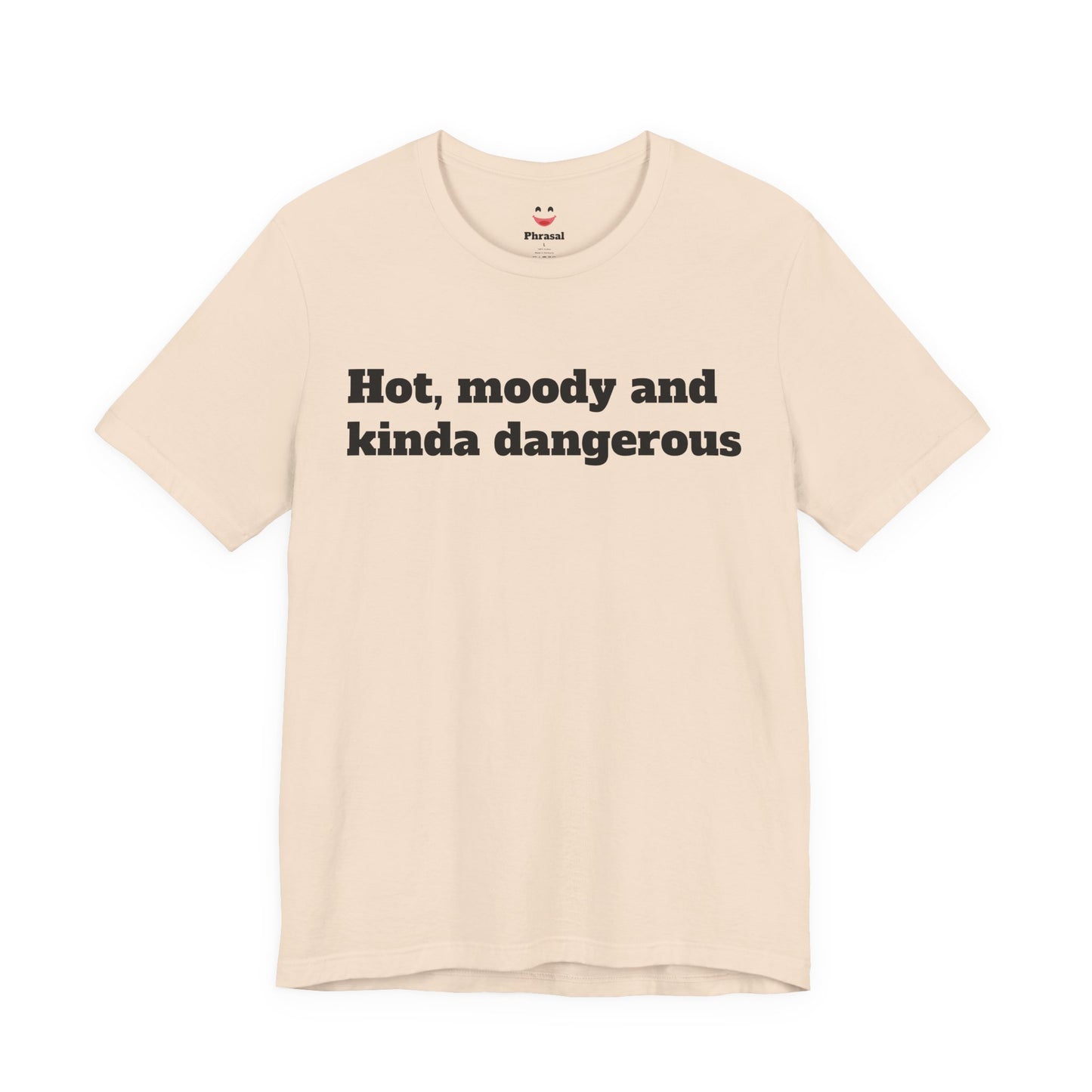 Sassy Love Shirts - "Hot, Moody and Kinda Dangerous"