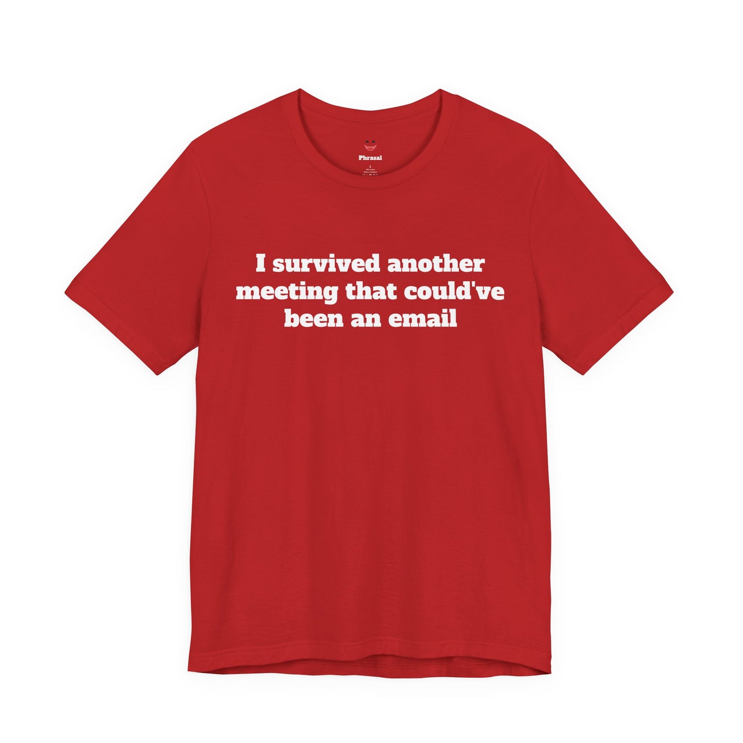 Workday Survivor Shirts - "I Survived Another Meeting That Could've Been An Email"