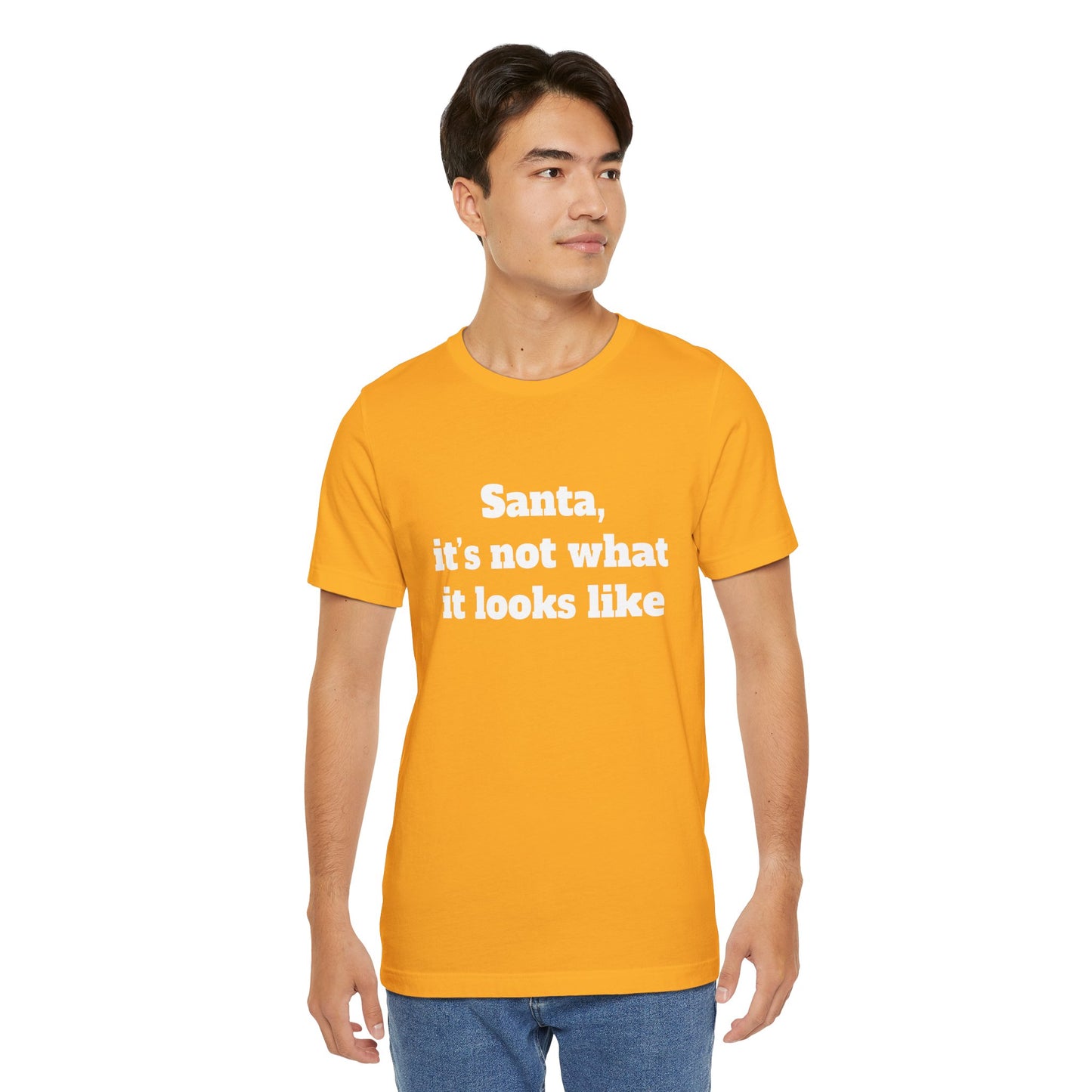 Festive Short Sleeve Tee - "Santa, it’s not what it looks like"