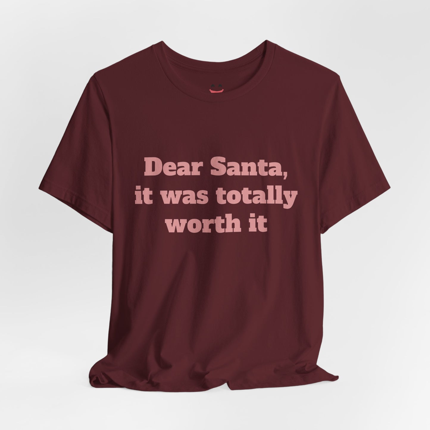 Festive Short Sleeve Tee - "Dear Santa, it was totally worth it"