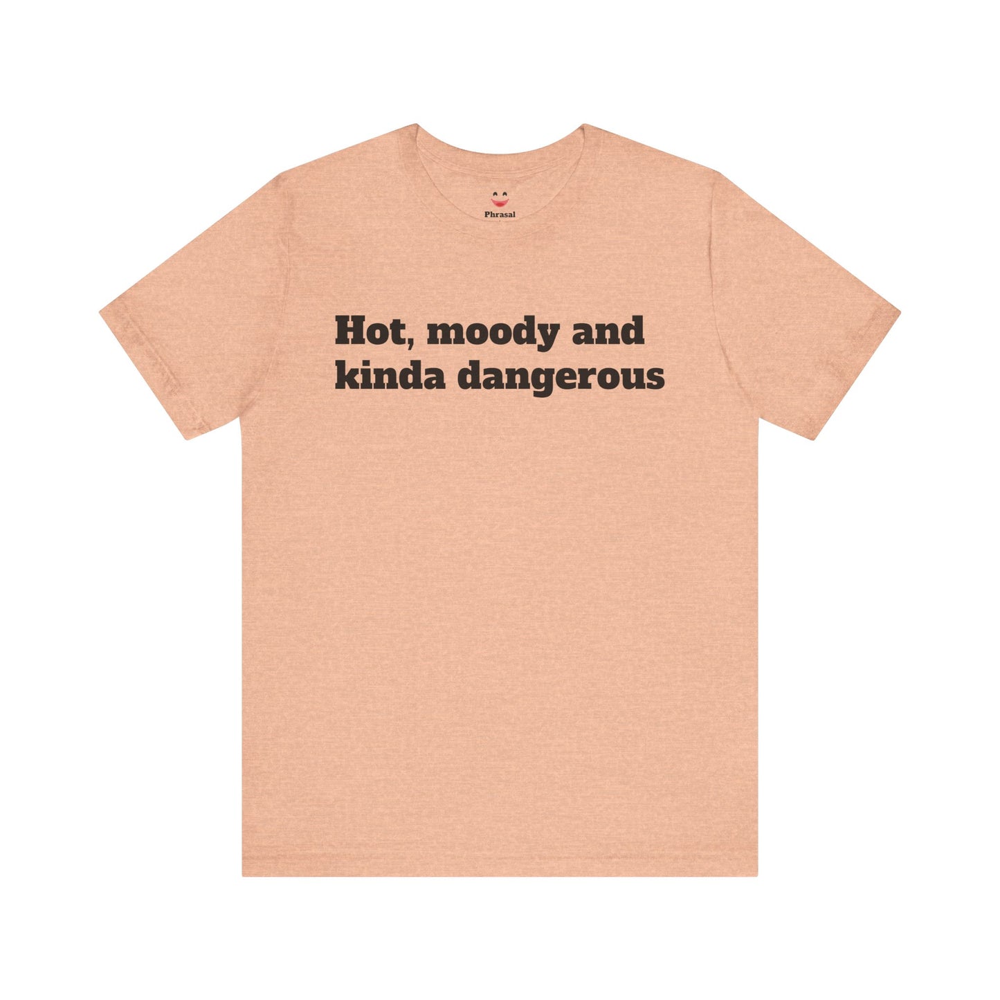 Sassy Love Shirts - "Hot, Moody and Kinda Dangerous"