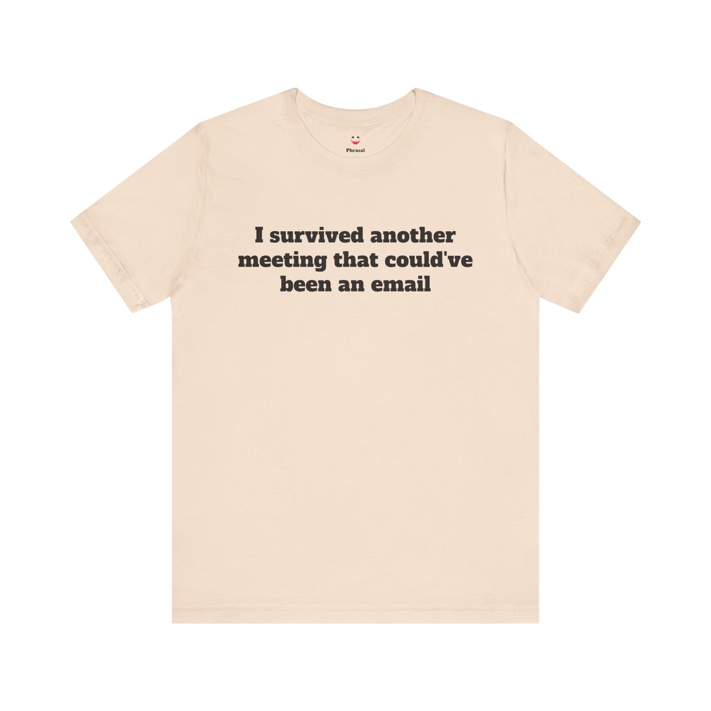 Workday Survivor Shirts - "I Survived Another Meeting That Could've Been An Email"