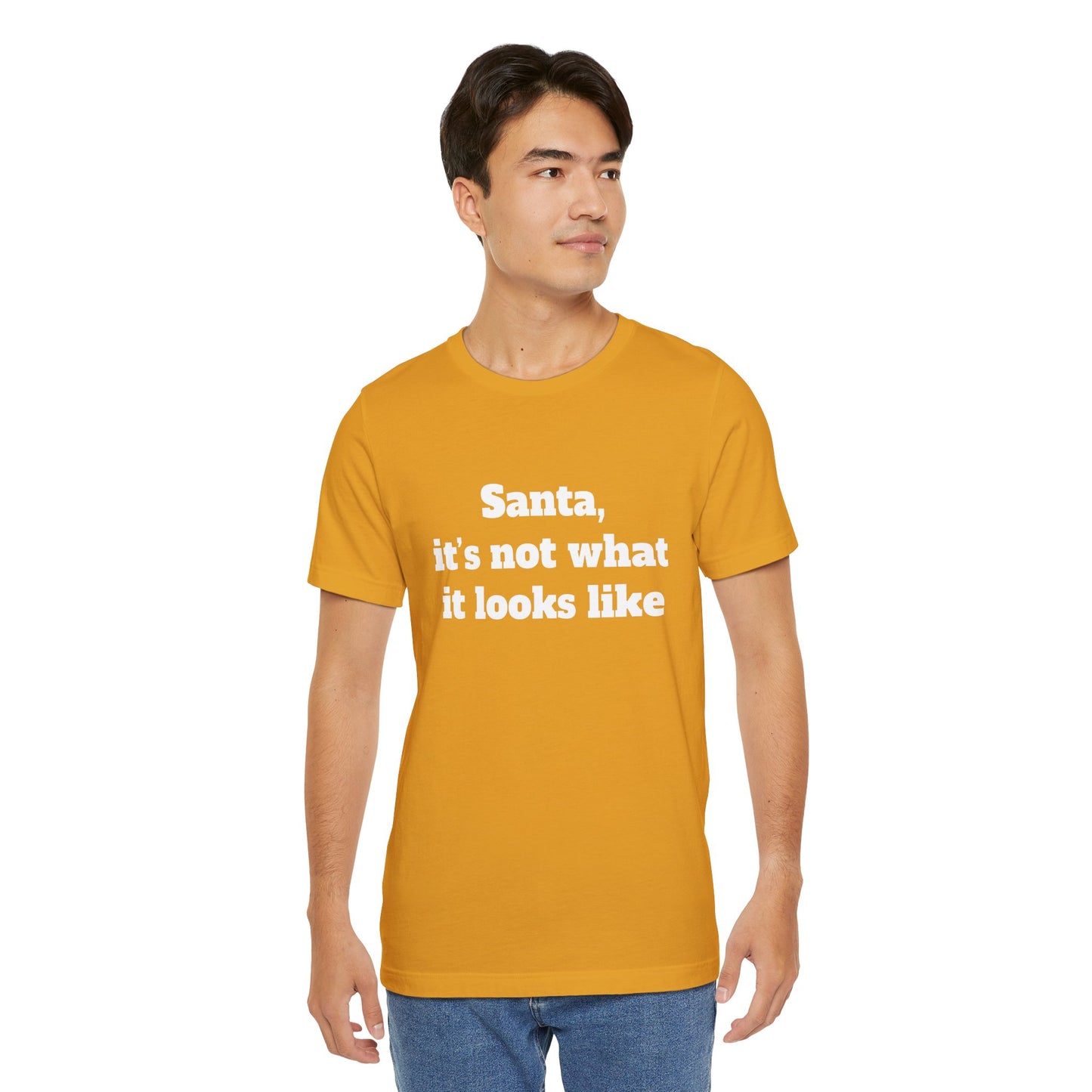Festive Short Sleeve Tee - "Santa, it’s not what it looks like"