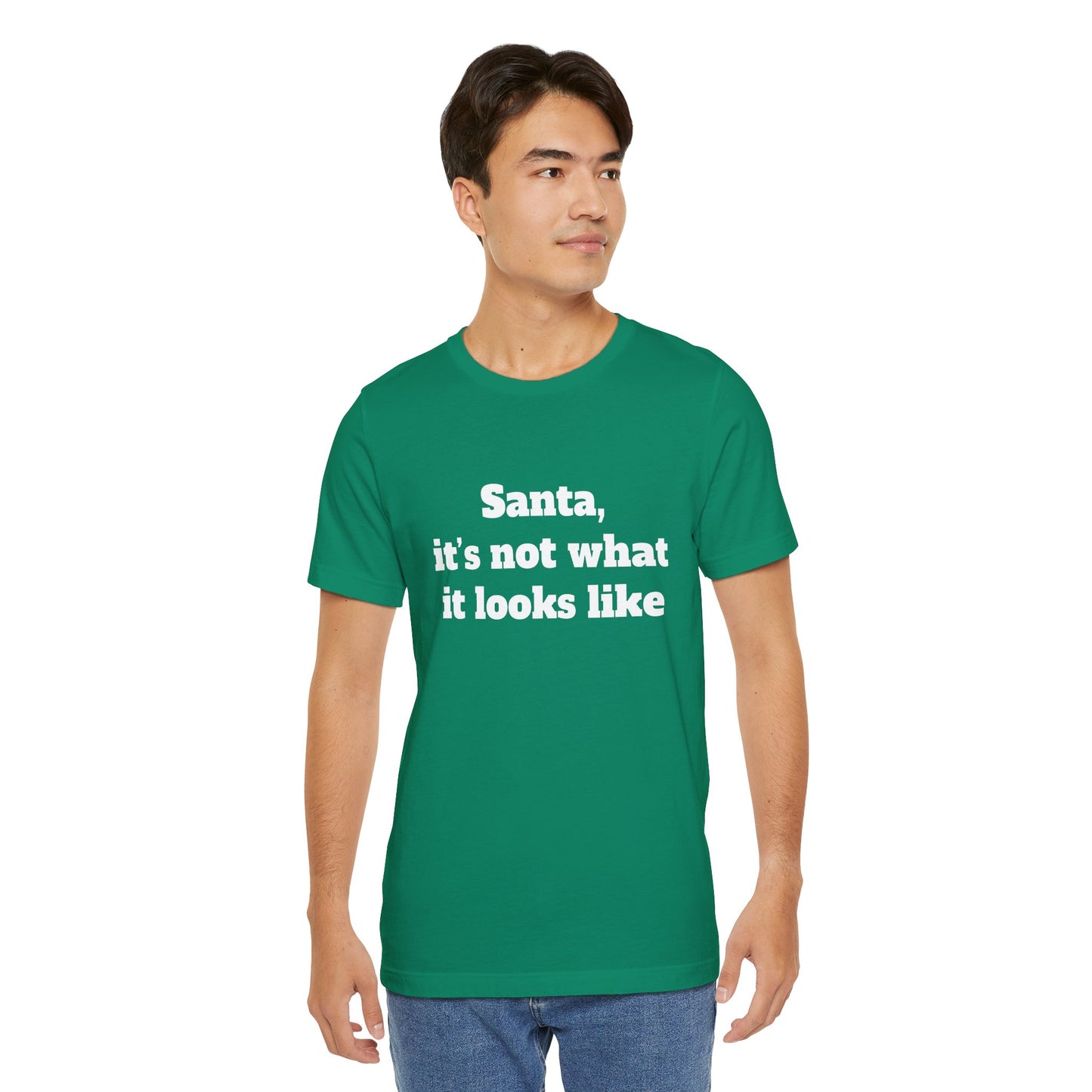 Festive Short Sleeve Tee - "Santa, it’s not what it looks like"