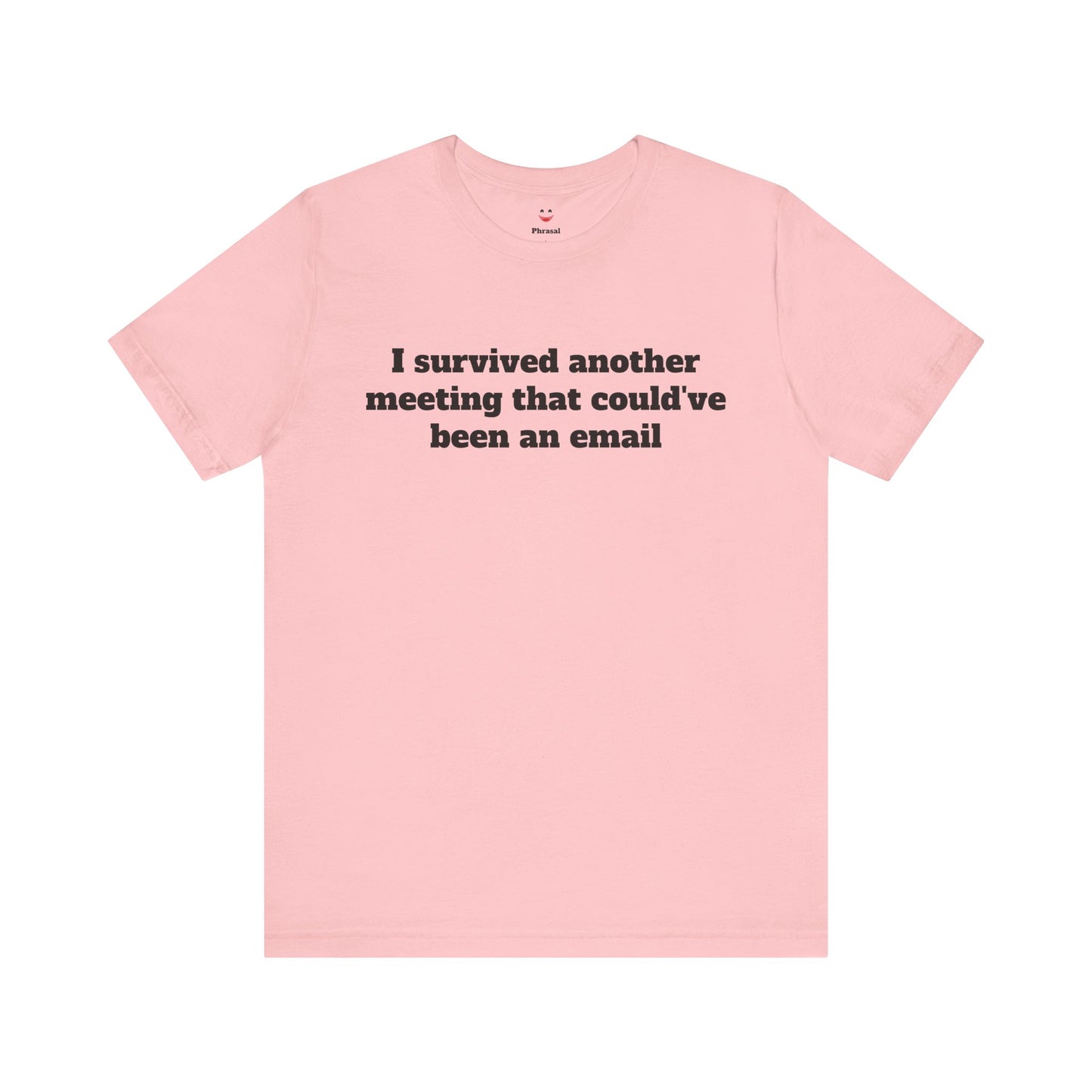 Workday Survivor Shirts - "I Survived Another Meeting That Could've Been An Email"