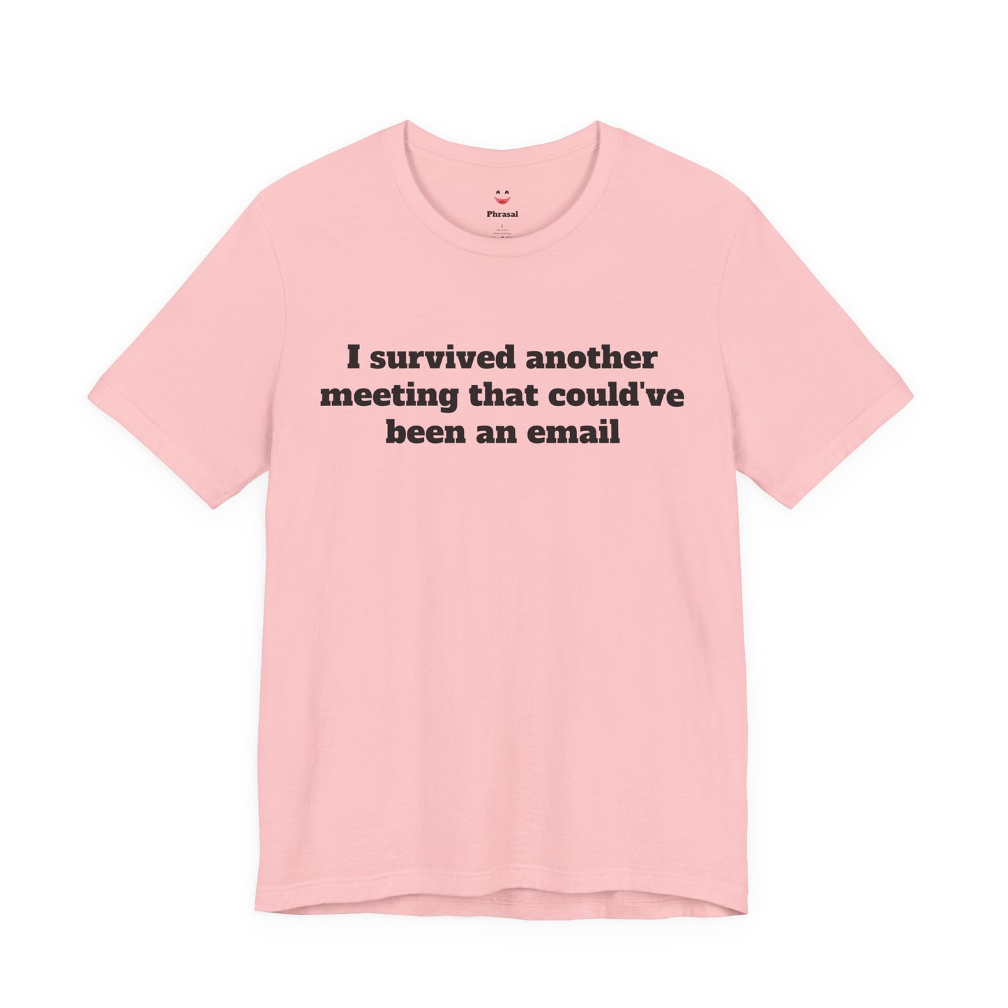 Workday Survivor Shirts - "I Survived Another Meeting That Could've Been An Email"